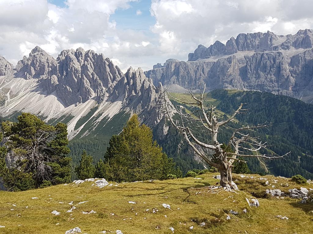 Villa Otto Santa Cristina Val Gardena Kültér fotó